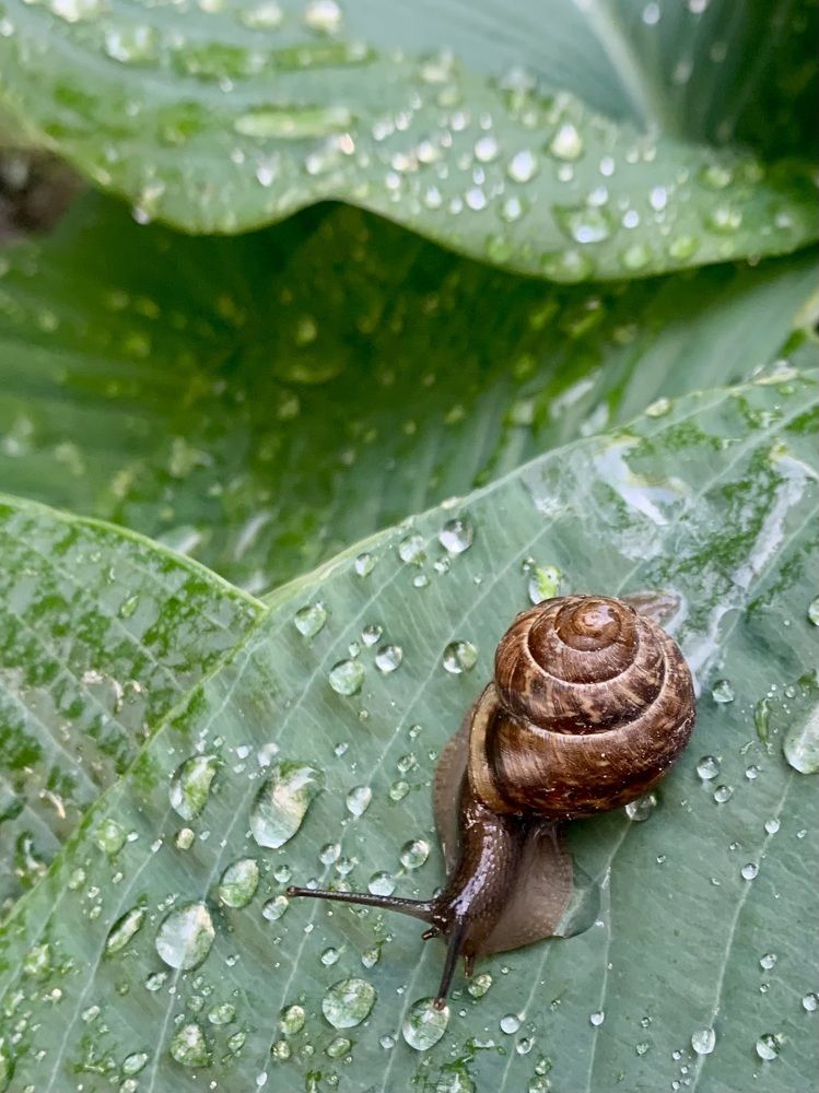 Photograph by Титаренко Людмила