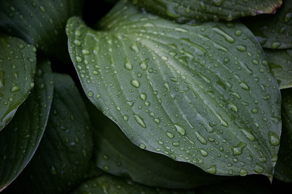 Photograph by Лариса Белашова