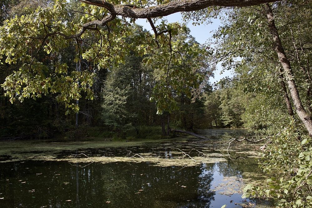 Photograph by Лариса Белашова