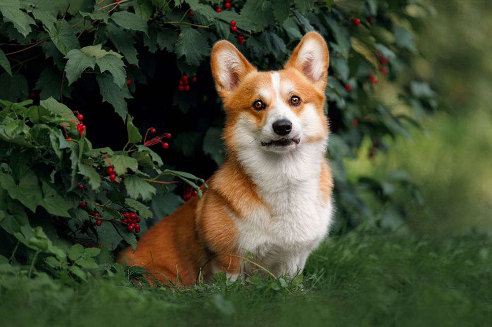 Photograph by Яна Нарбутович