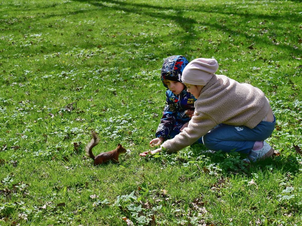 Угощайся, рыжая!