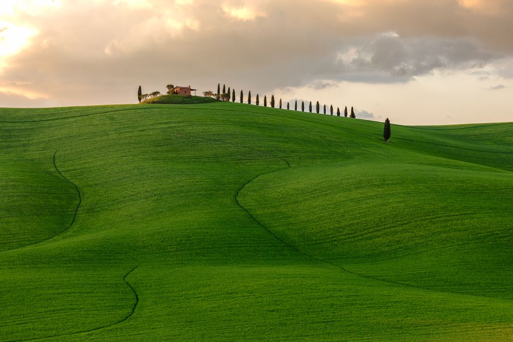 Photograph by Евгения Чех