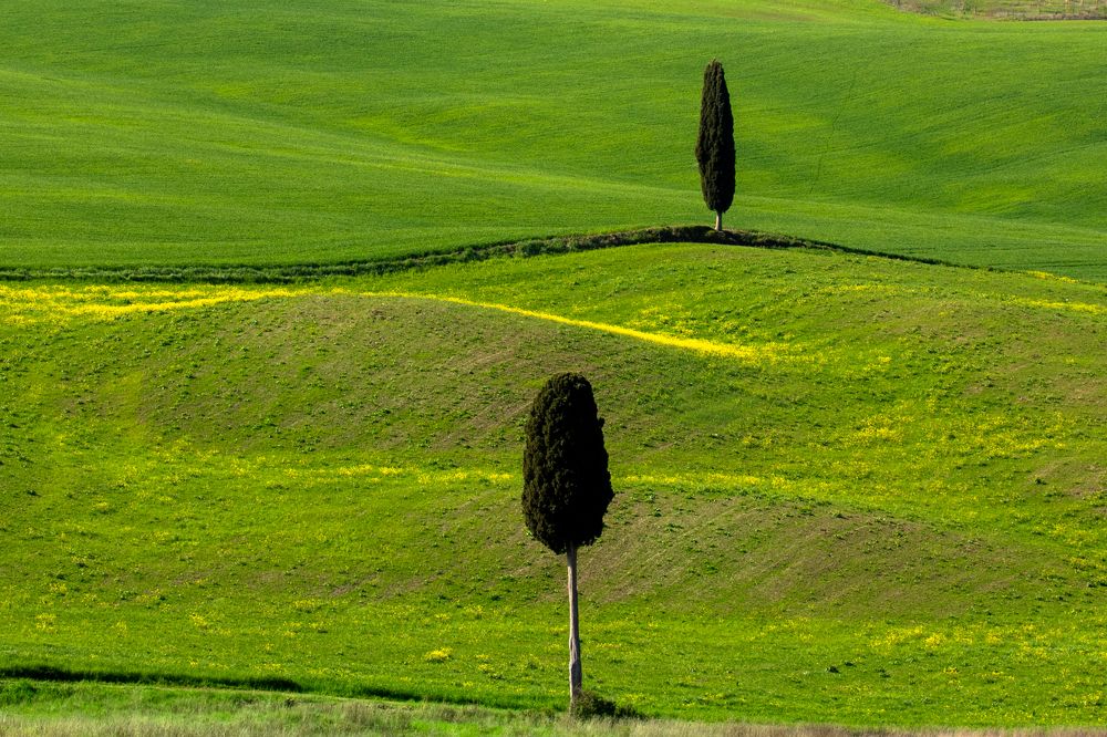 Photograph by Евгения Чех