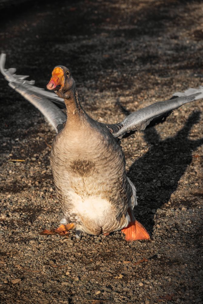Photograph by Дудников Александр