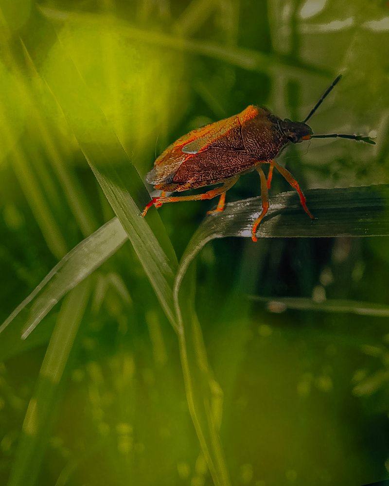 Photograph by Люда Яковлева