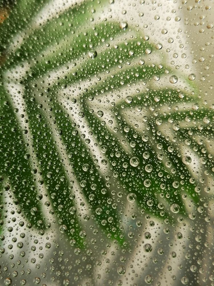 Photograph by Станислава Садыкова