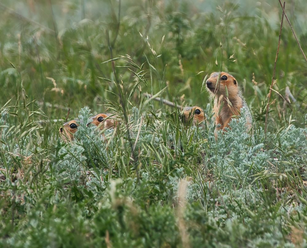 Photograph by Дудников Александр