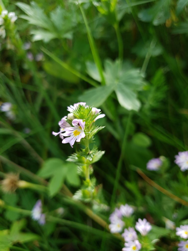 Фотография автора Ирина Дроздова