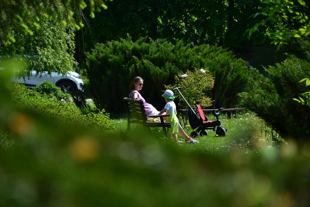 Фотография автора Анатолий Борисенко