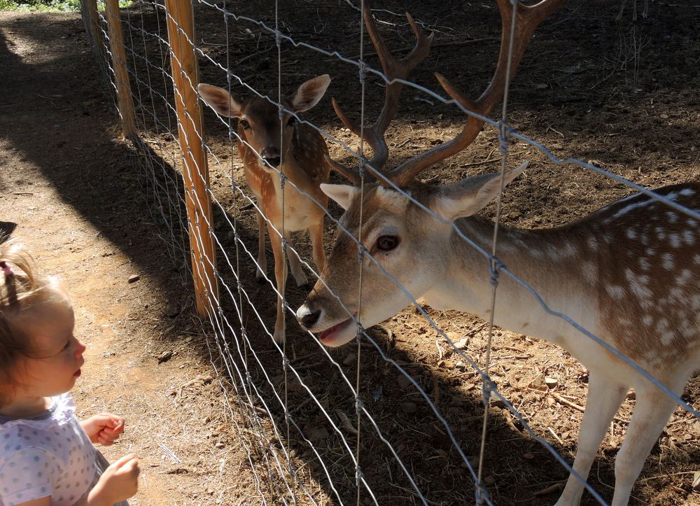 Знакомство