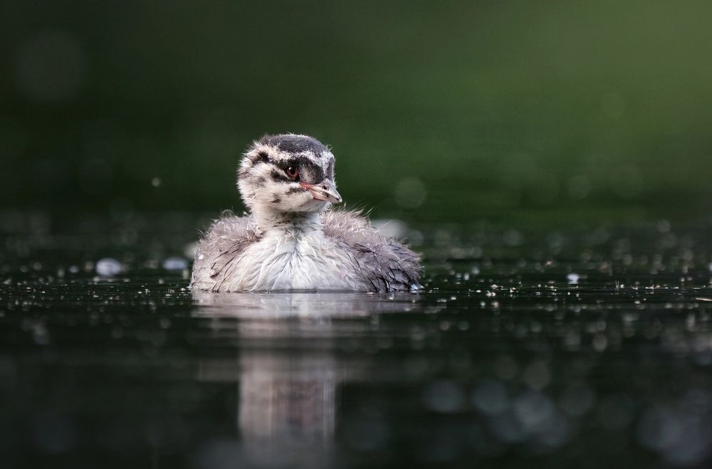 Фотография автора Владимир Коровяковский