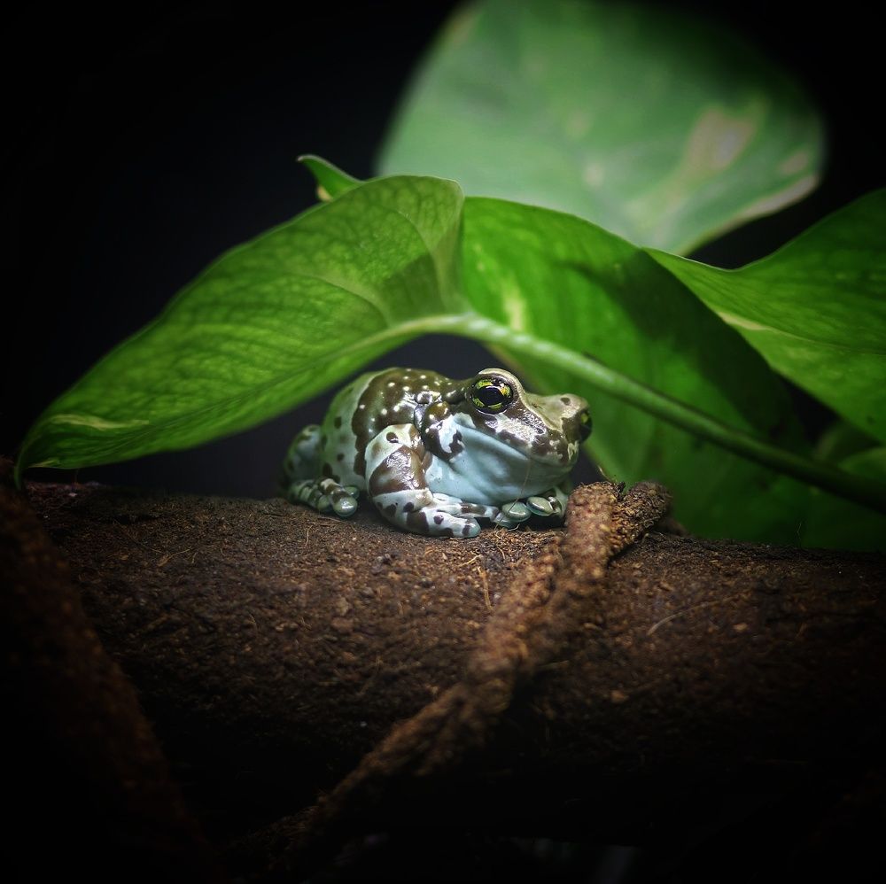 Photograph by Татьяна Максакова