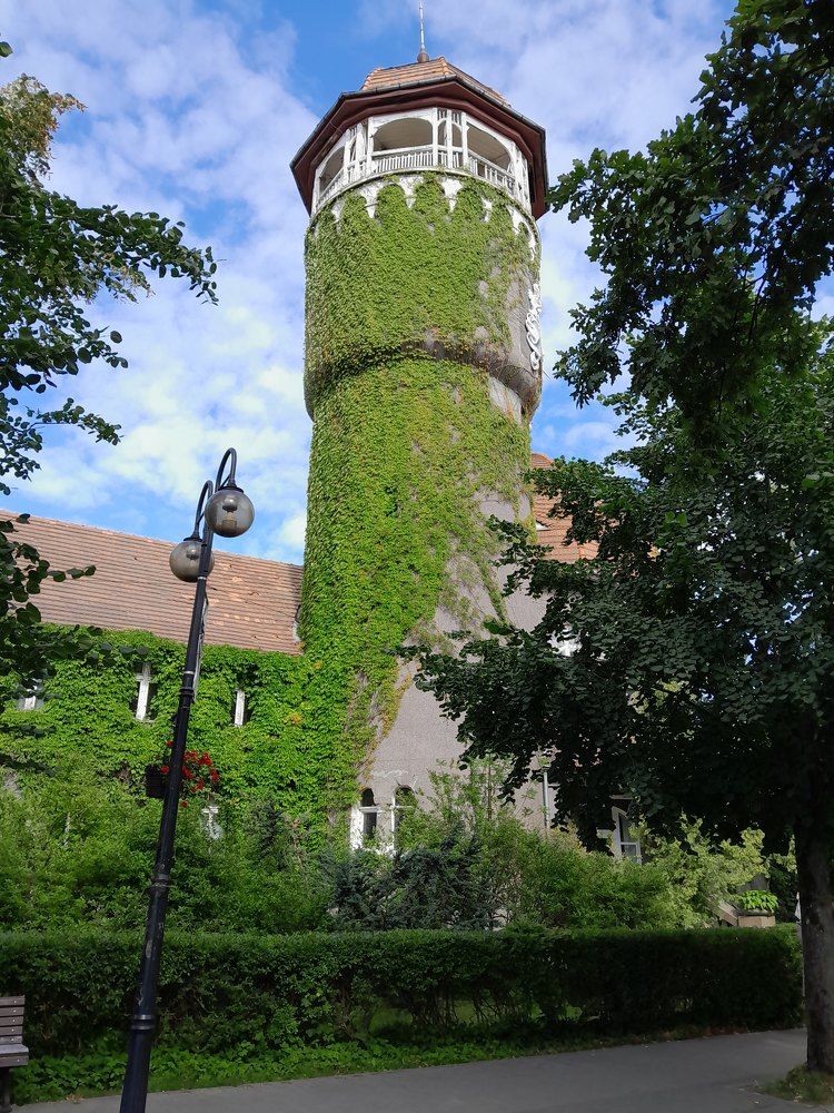 Photograph by Виталий