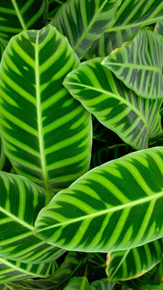 Photograph by Александр Коковихин