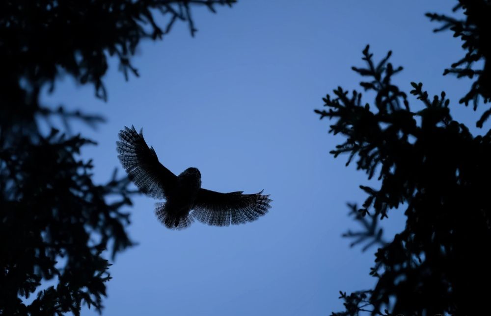 Фотография автора Владимир Коровяковский