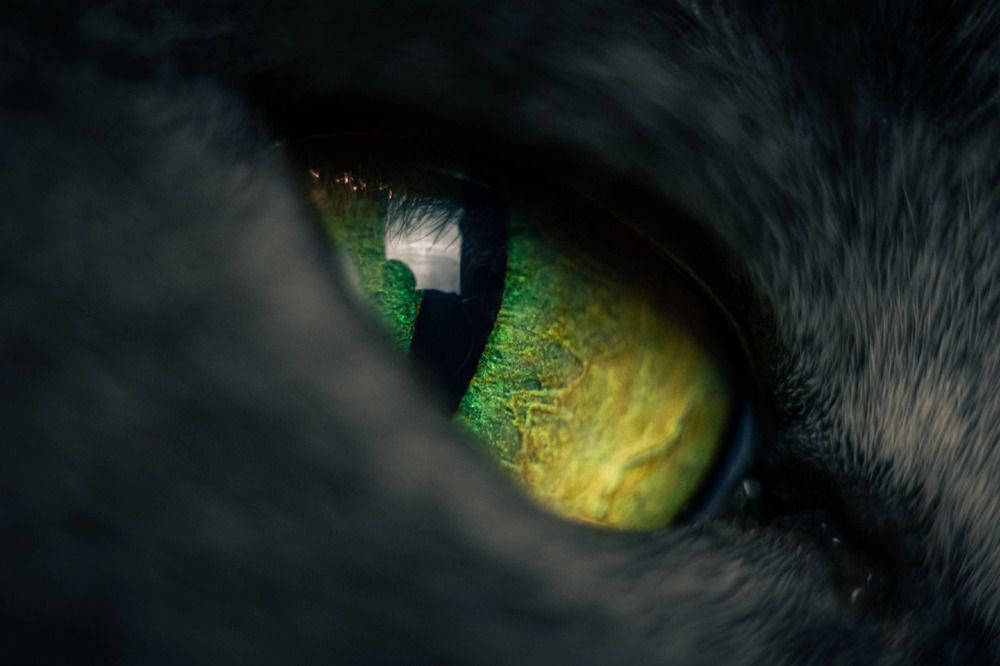 Photograph by Владимир Логвинов