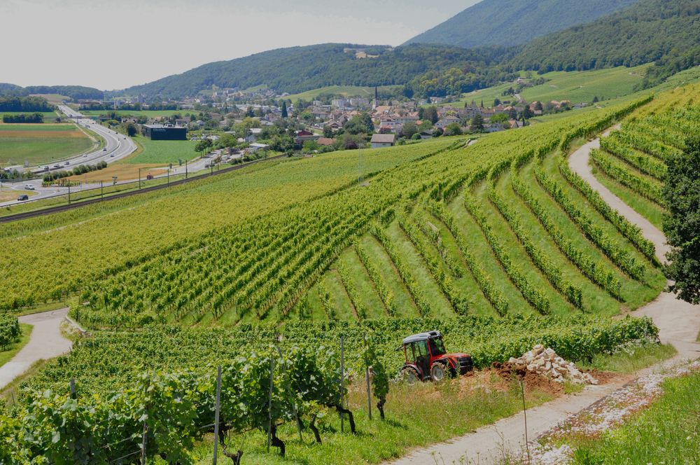 Photograph by Галина Лысых