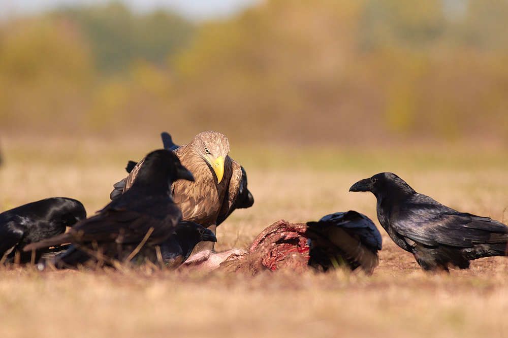 Photograph by Aleksandar