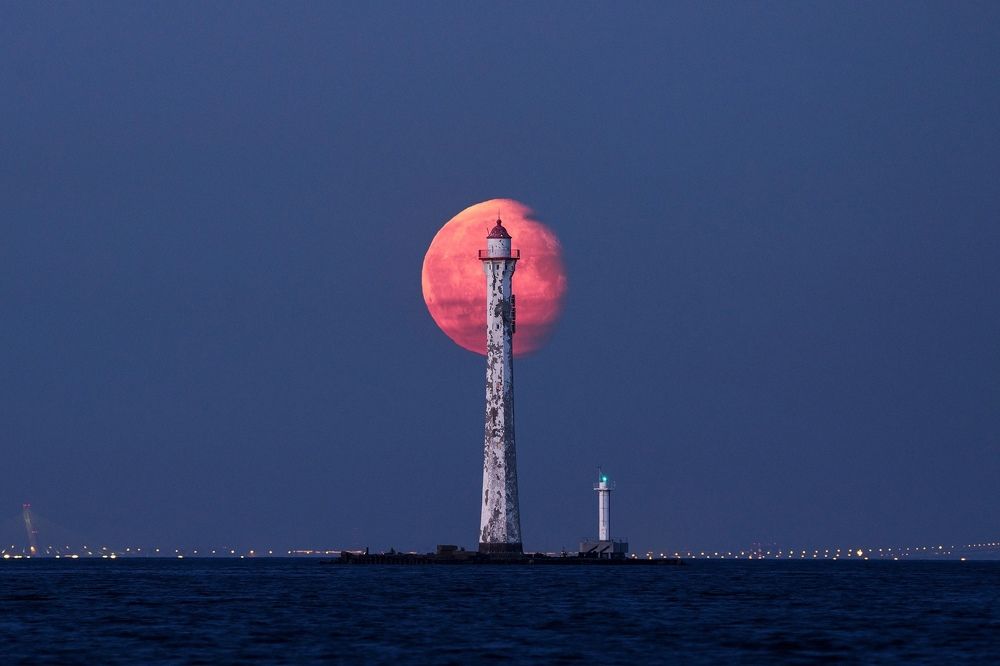 Photograph by Владимир Коровяковский