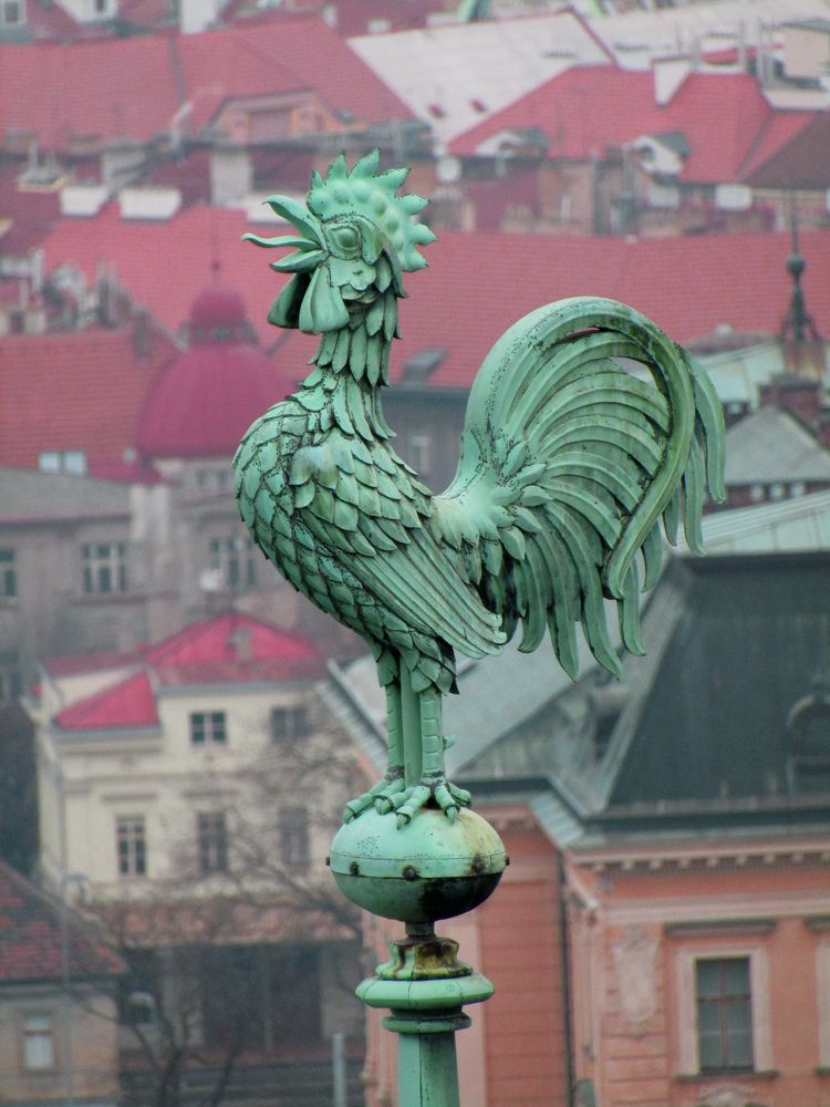 Photograph by Olga Kot