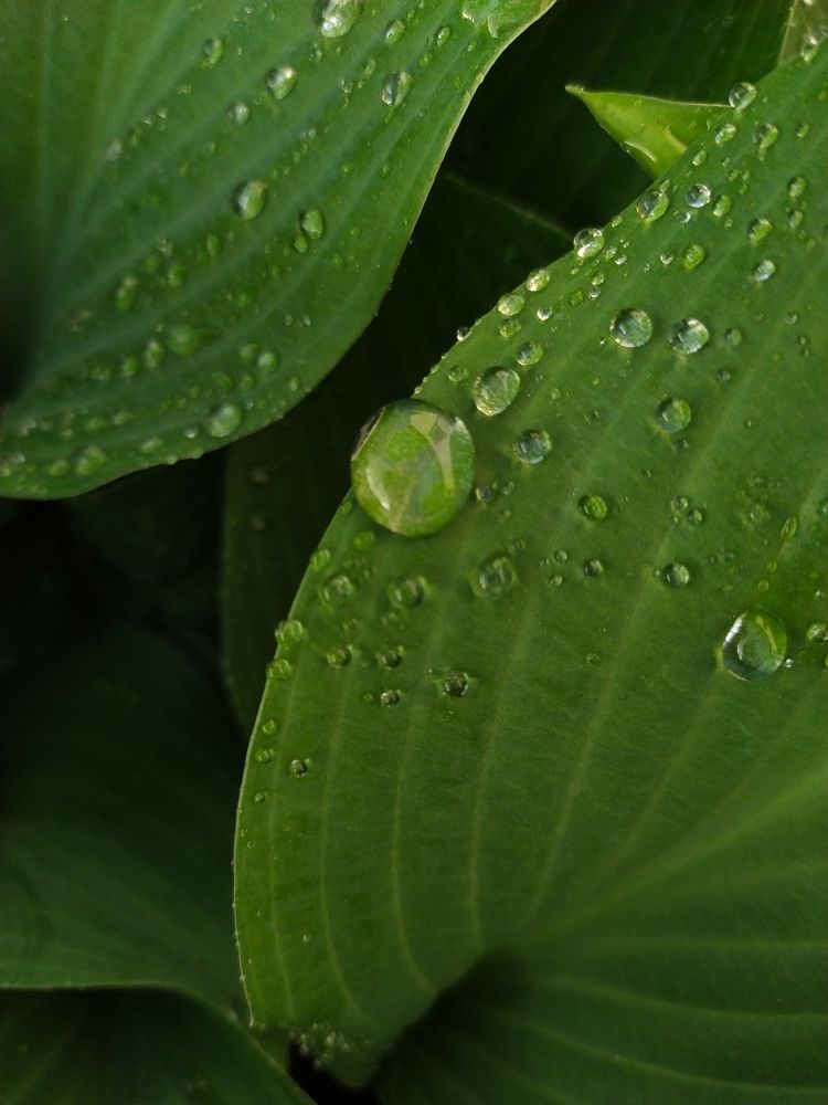 Photograph by Olga Kot