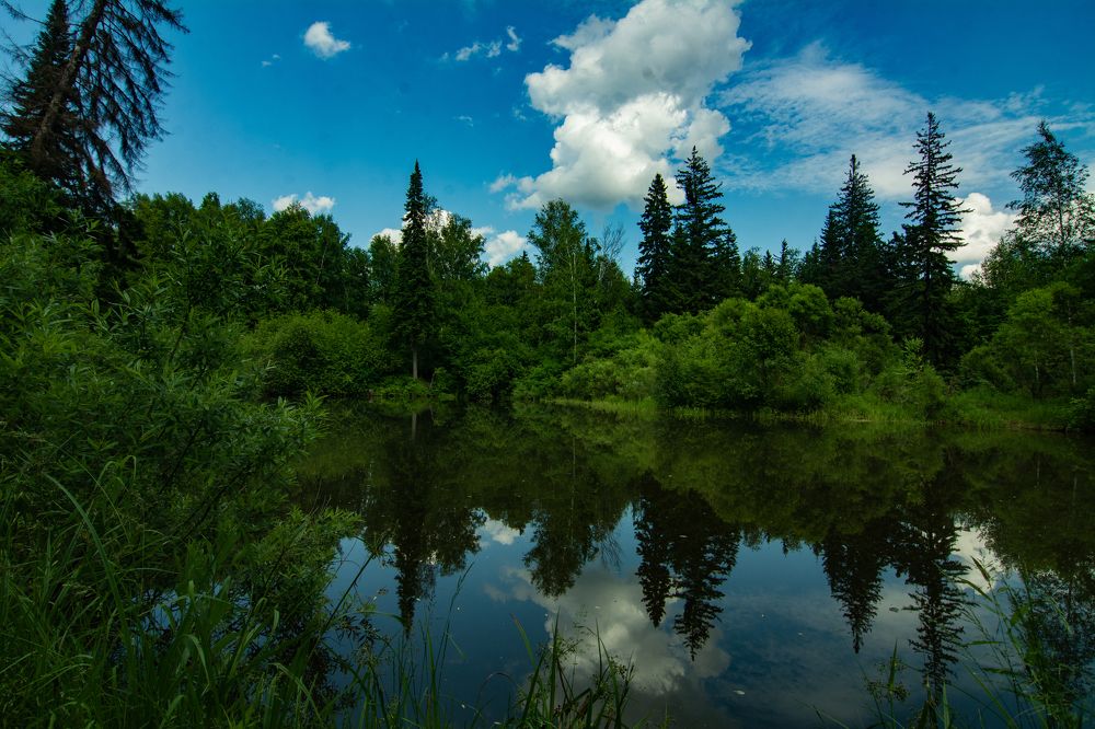 Photograph by Евгений Авдеев