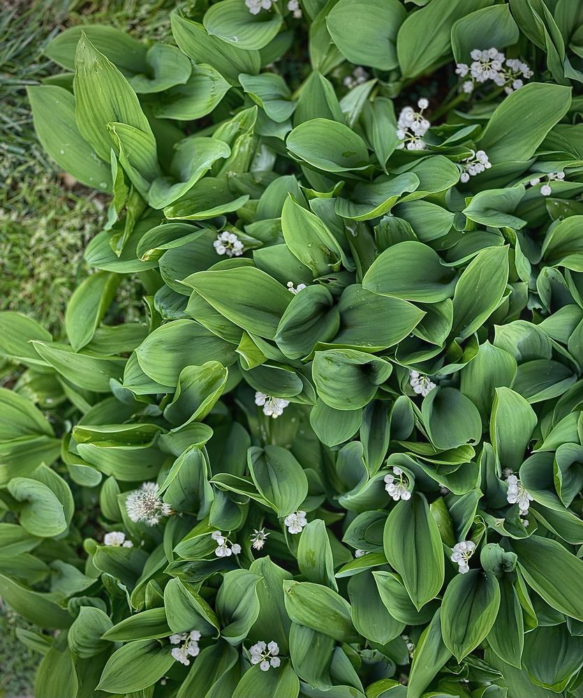 Photograph by Мария Ковригина