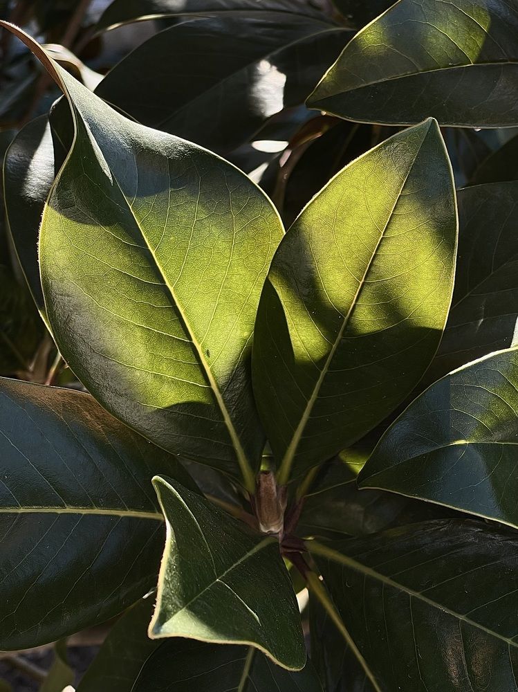 Photograph by Мария Ковригина