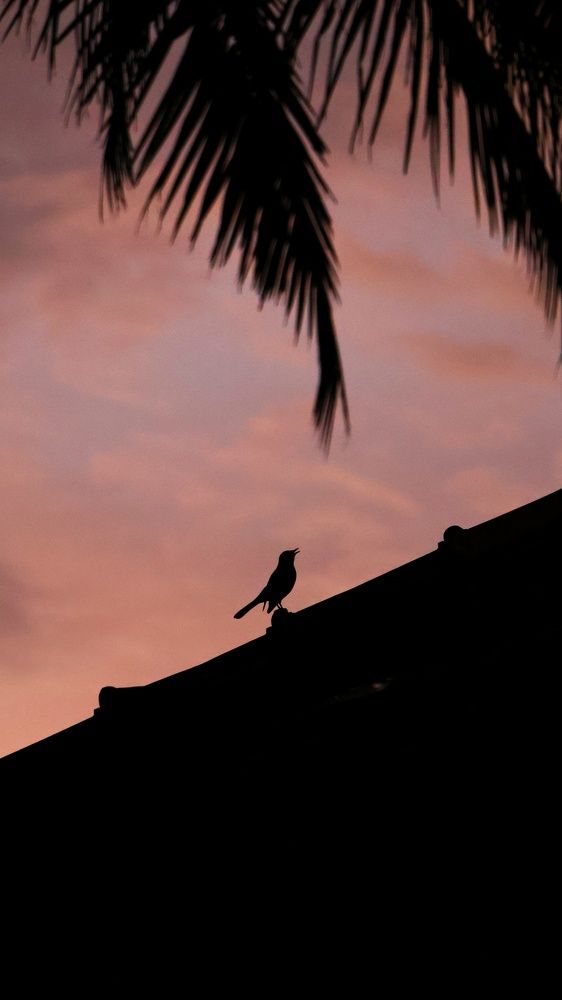 Фотография автора Tanaya Dhuri