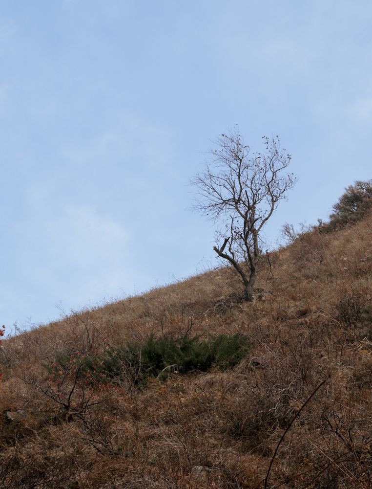 Photograph by Анна Чичилова