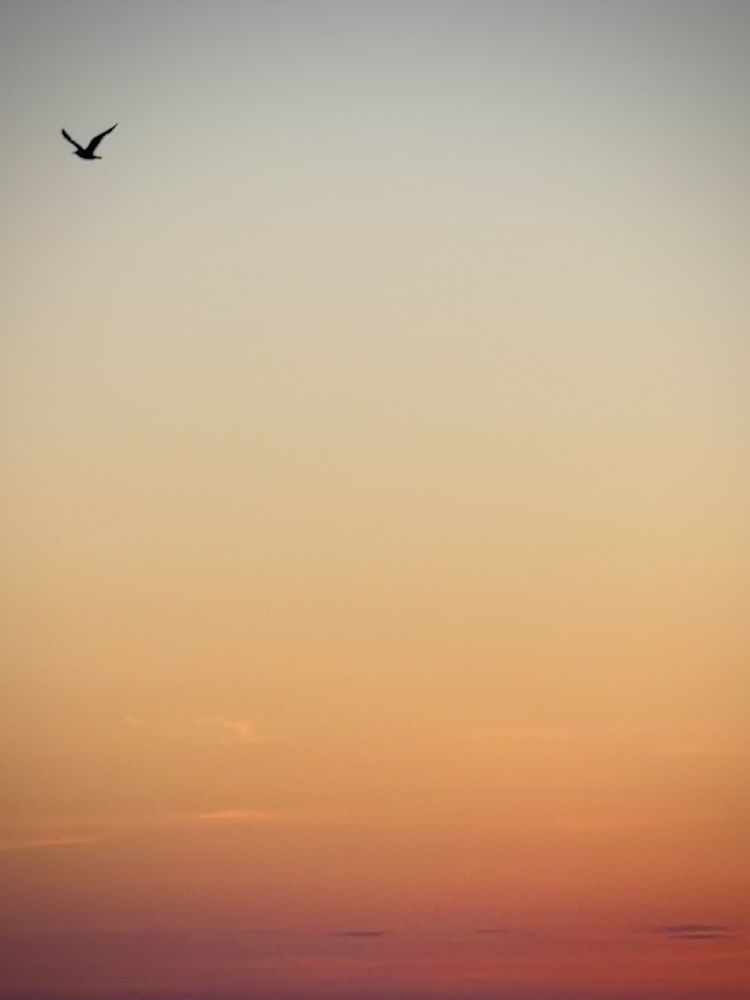 Photograph by Мария Ковригина