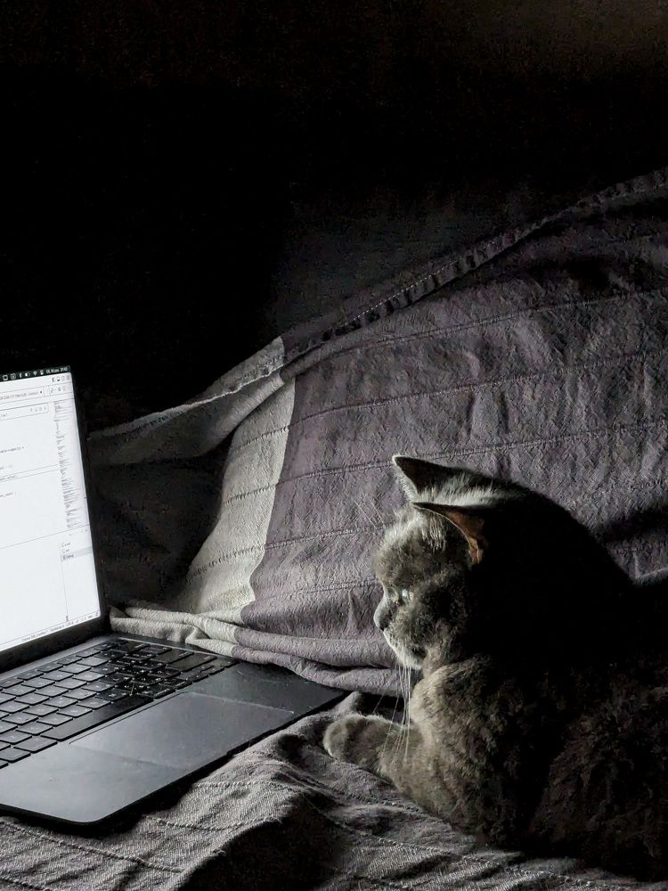 Photograph by Екатерина Чижевская