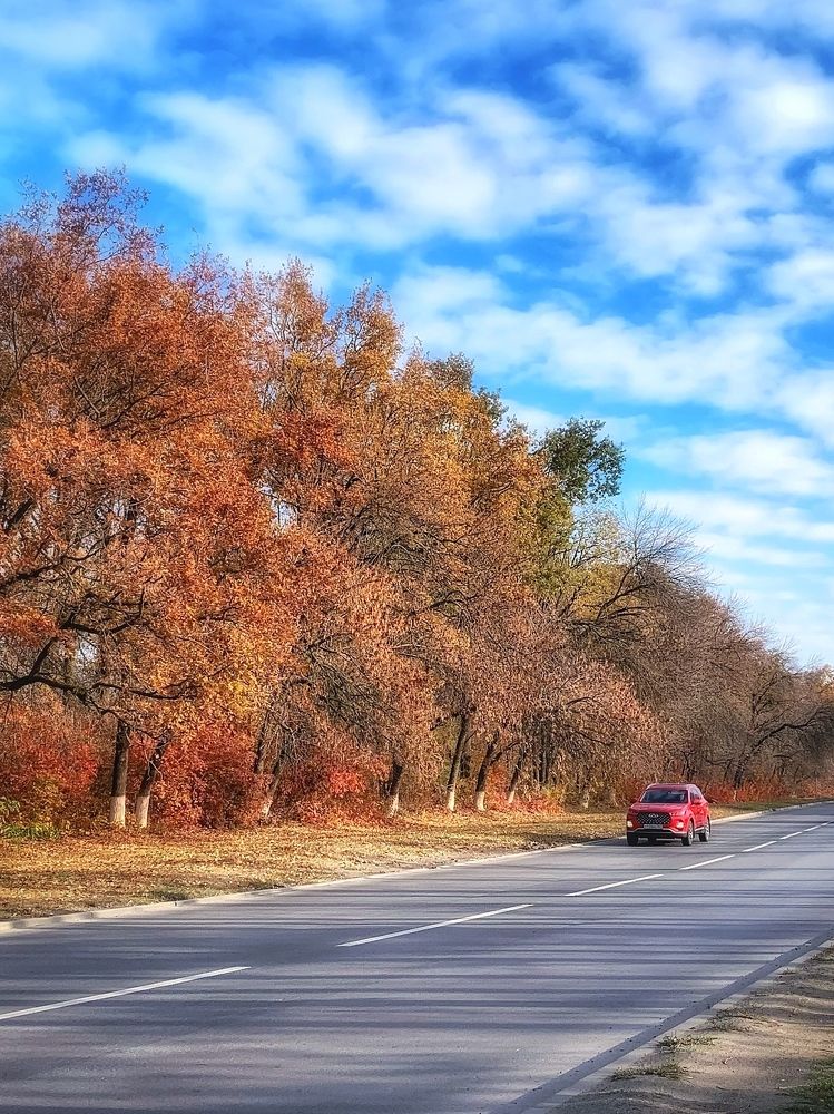 Фотография автора Tatiana Gongharova