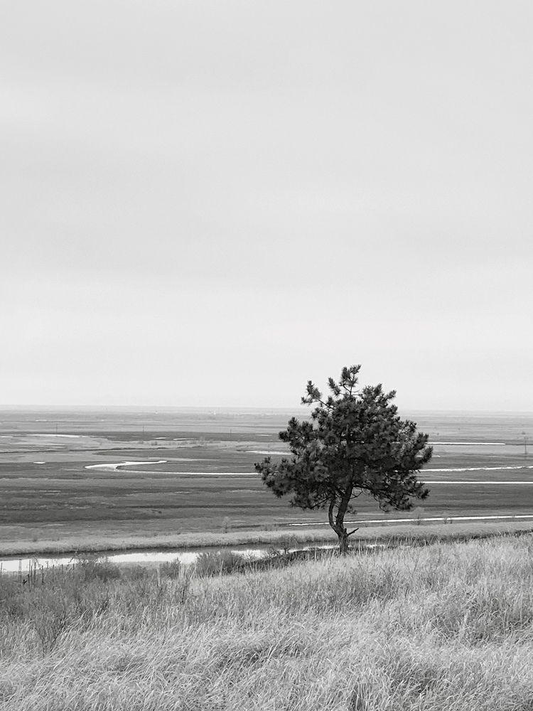 Фотография автора Tatiana Gongharova