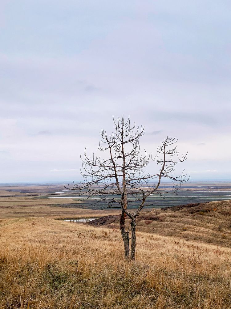 Фотография автора Tatiana Gongharova