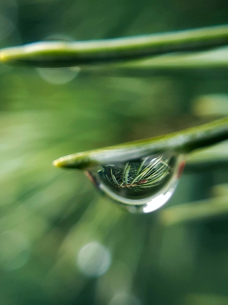 Photograph by Анна Чичилова