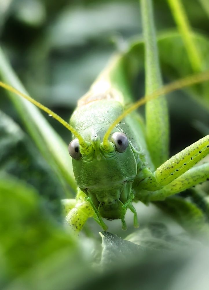 Photograph by Maiya Bulatova