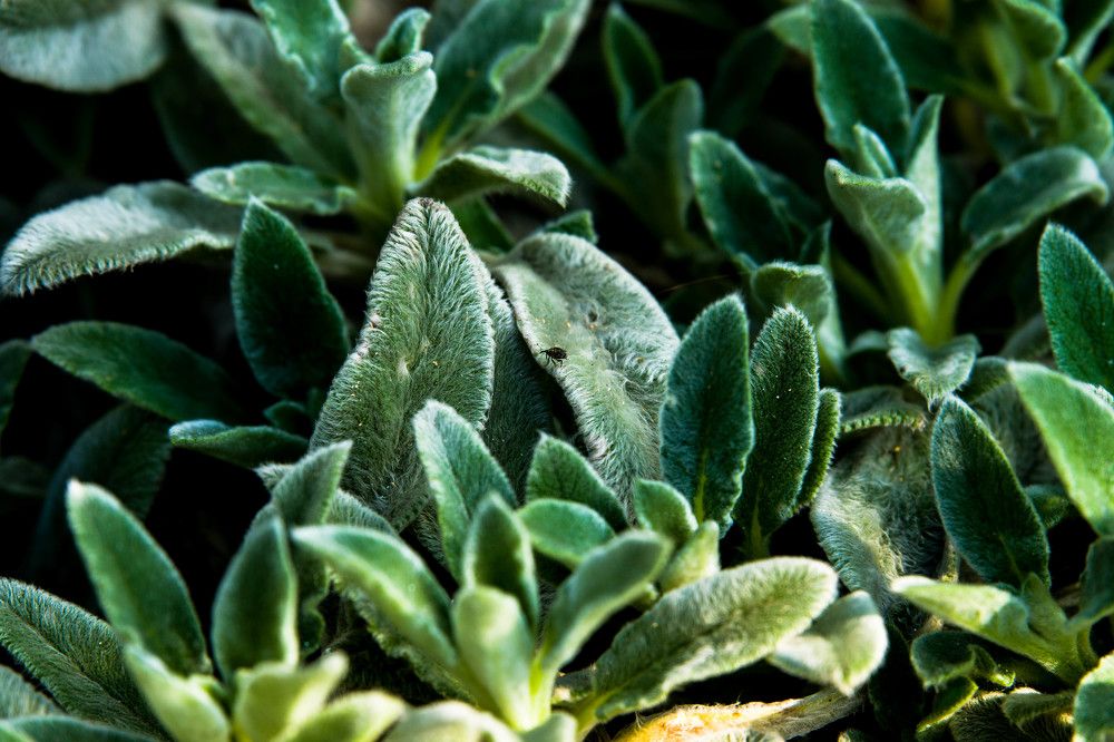 Photograph by Кристина Присакарь