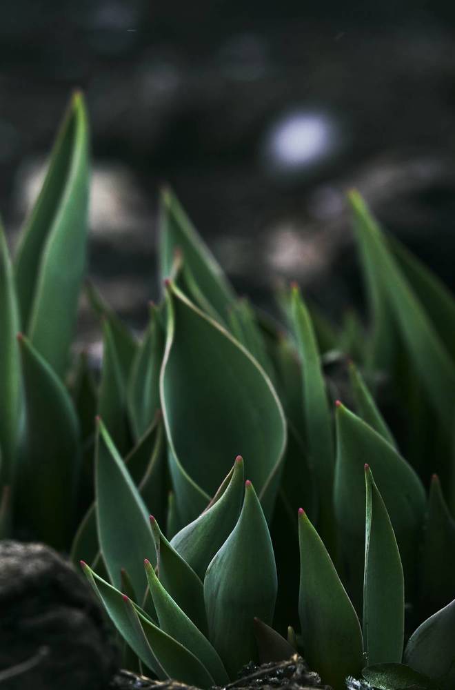 Photograph by Кристина Присакарь