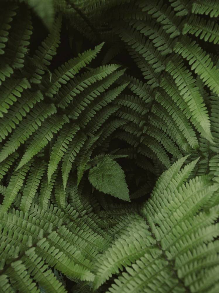 Photograph by Анна Чичилова