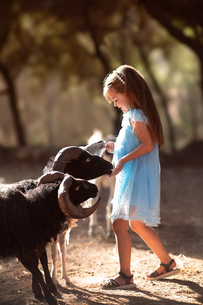 Photograph by Юлия Немченко