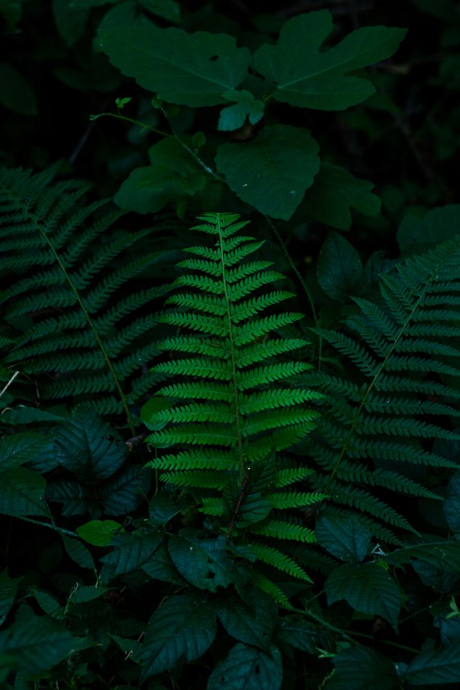 Photograph by Роман Якута