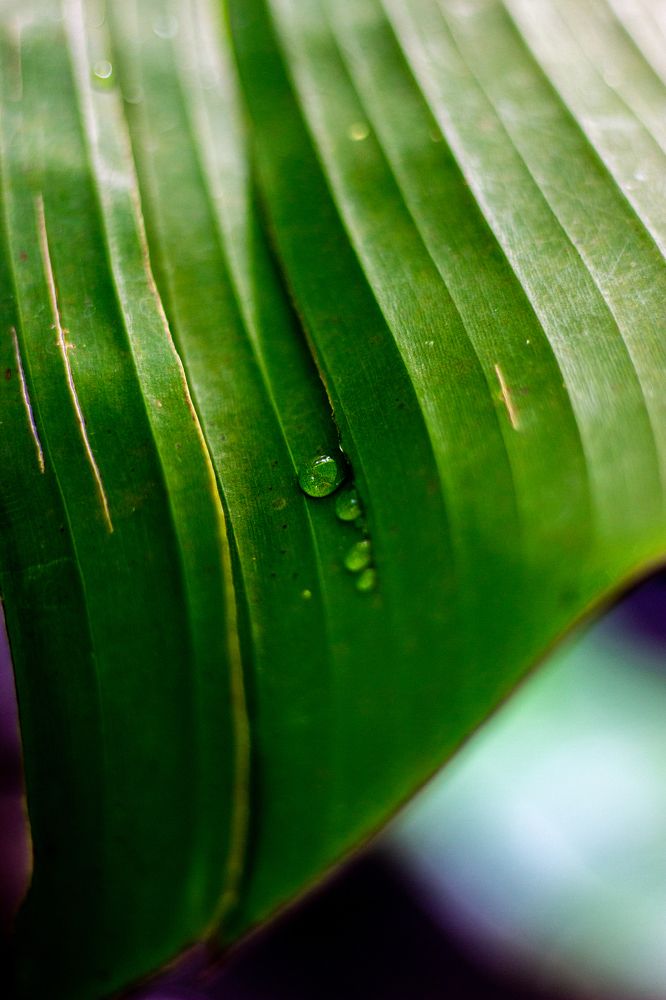 Photograph by Роман Якута