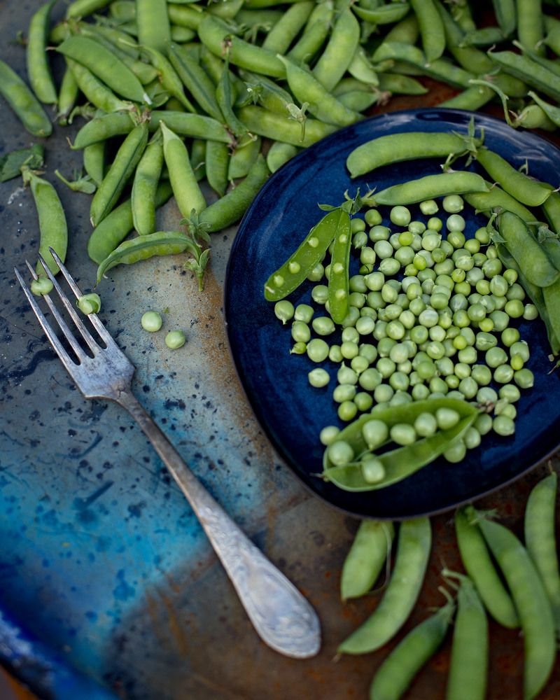 Photograph by Мария Грибкова