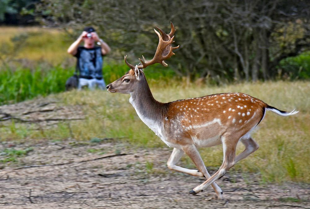 Photograph by Marjo Steffen