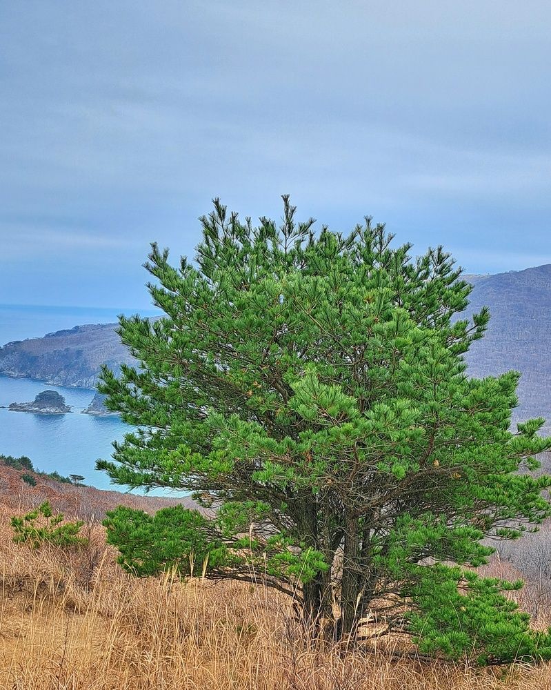 Photograph by Оксана Юдина