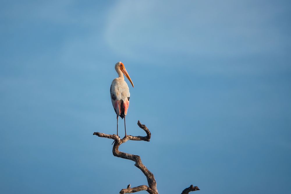 Photograph by Дудников Александр