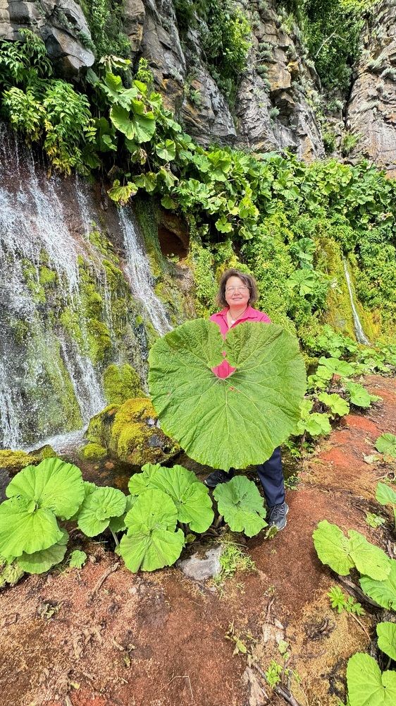 Photograph by Natalia