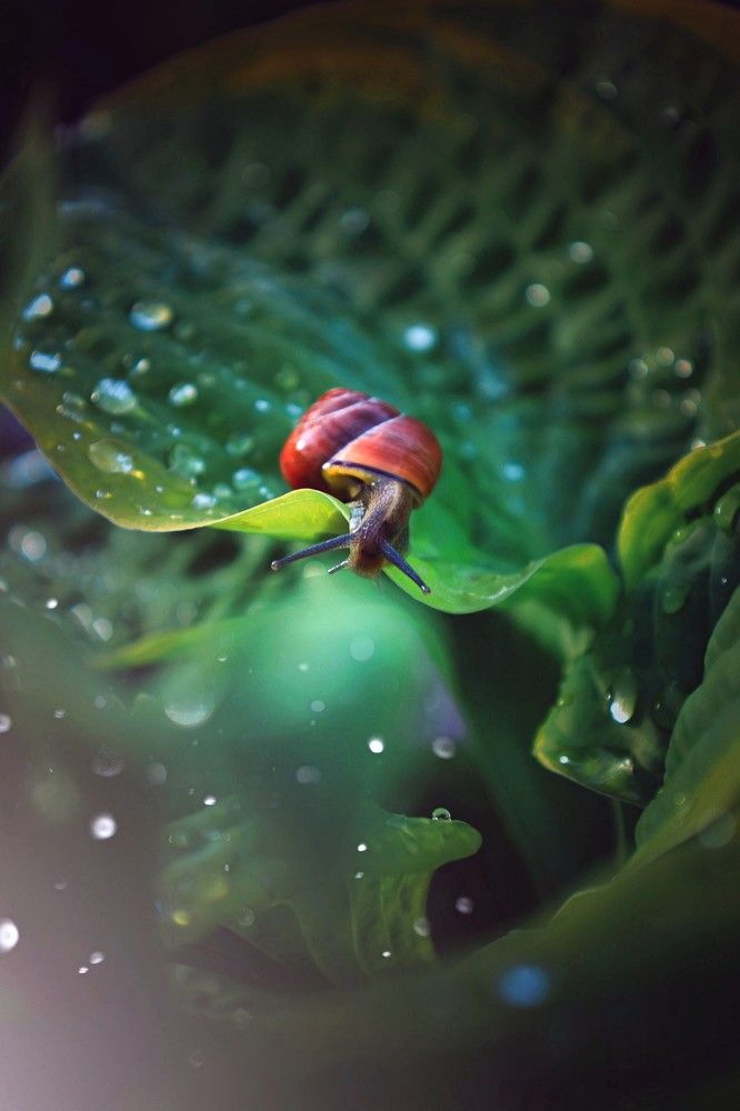 Photograph by Татьяна Максакова