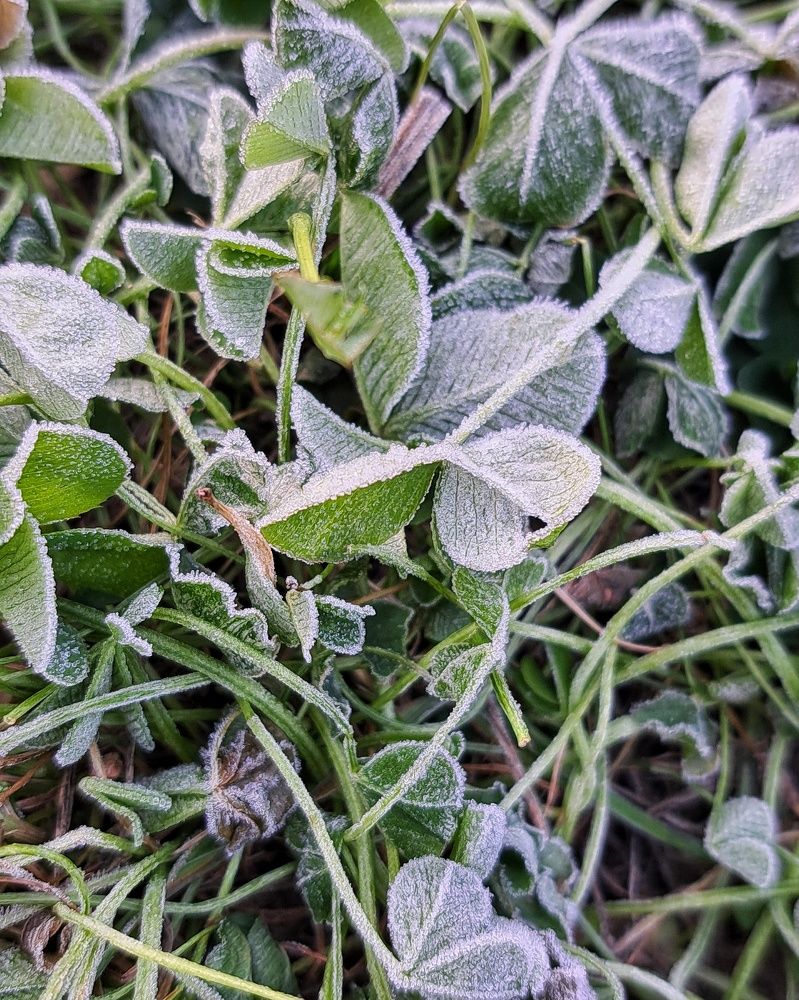 Photograph by Оксана Юдина